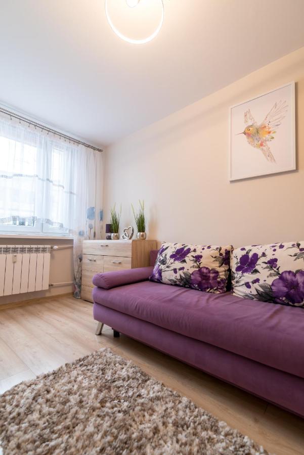 Cichy Zakatek Apartment Zakopane Ngoại thất bức ảnh