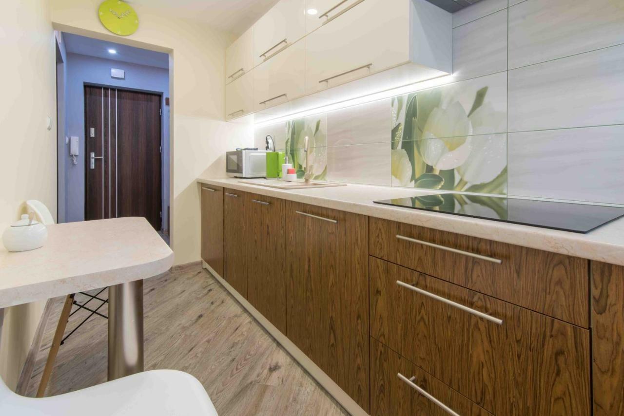 Cichy Zakatek Apartment Zakopane Ngoại thất bức ảnh